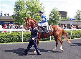 Star Witness on track for July Cup